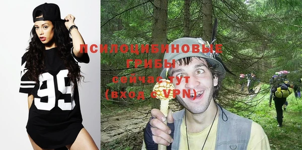 спиды Абинск