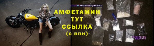 крисы Алзамай