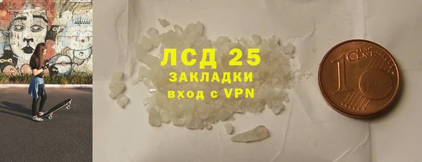 крисы Алзамай
