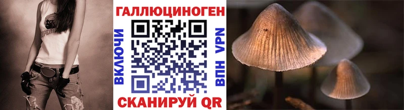 где купить наркоту  Болхов  Галлюциногенные грибы MAGIC MUSHROOMS 