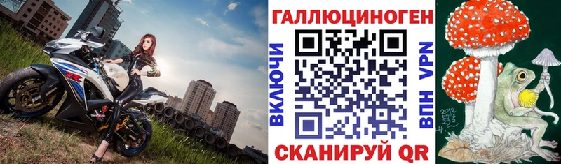 Псилоцибиновые грибы мухоморы Болхов